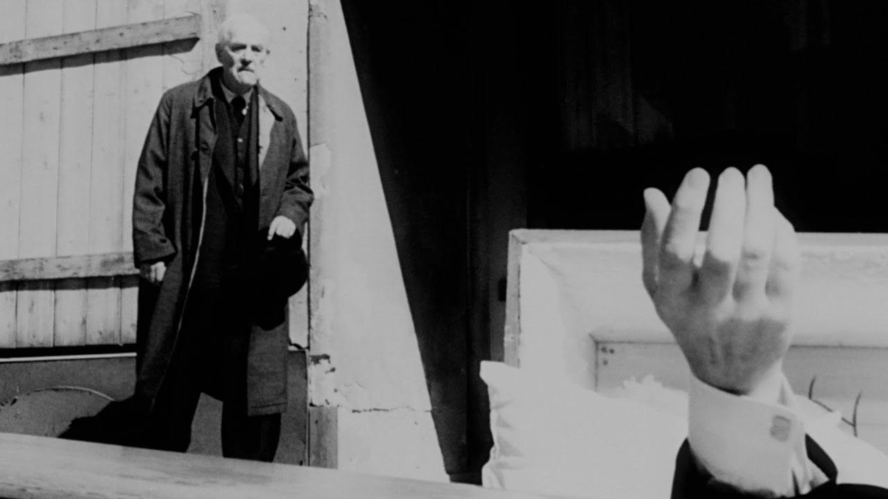 Wild Strawberries Trailer