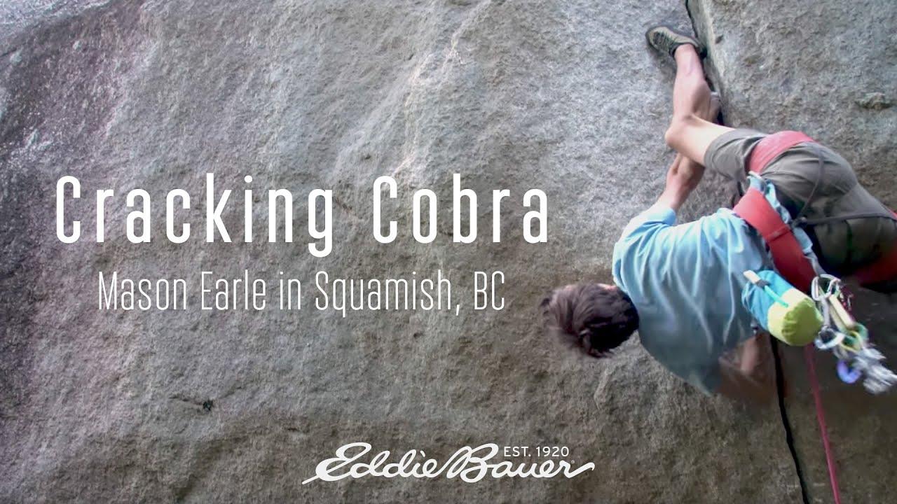 Cracking Cobra Trailer