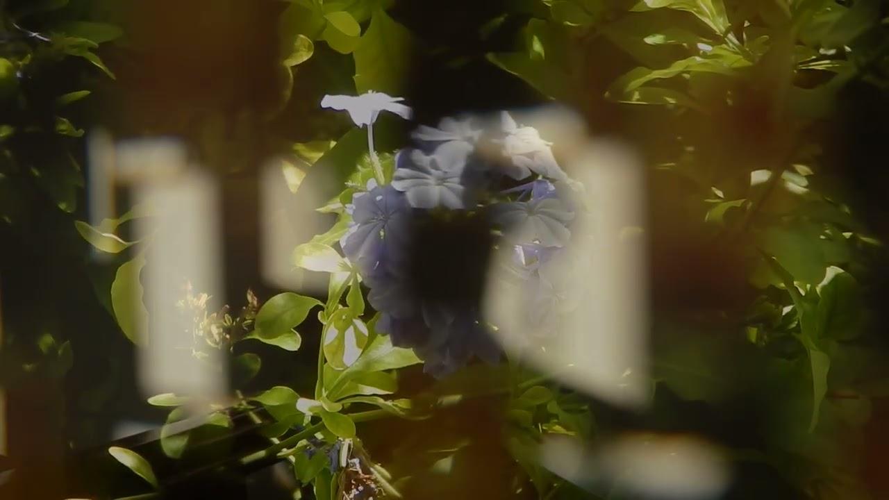 Remembering So We Don't Forget Trailer