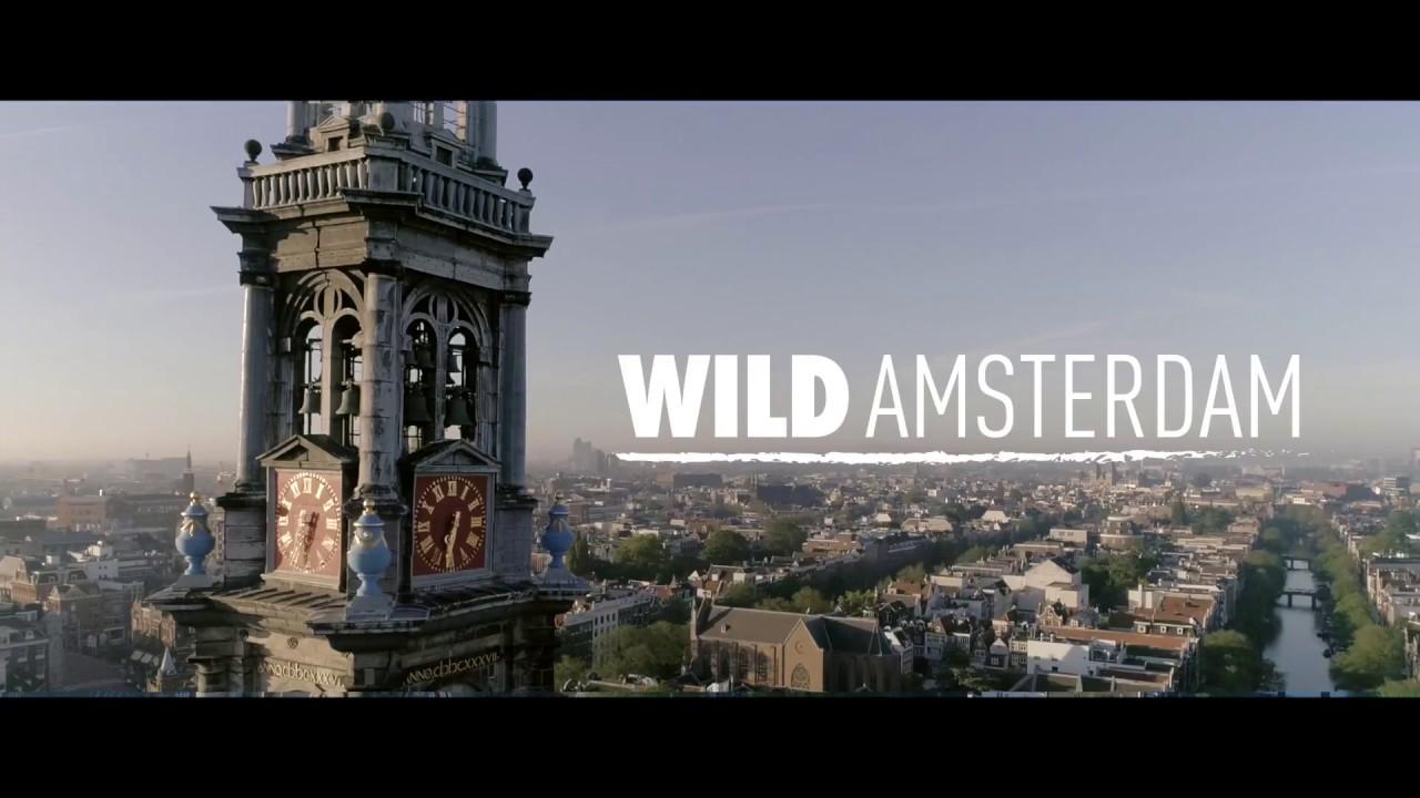 Katwalk Trailer