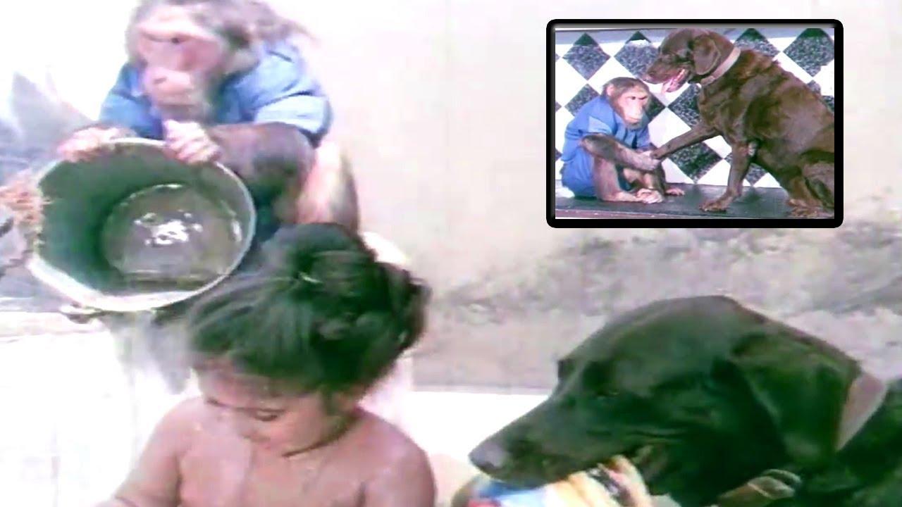 Bhairavi Trailer
