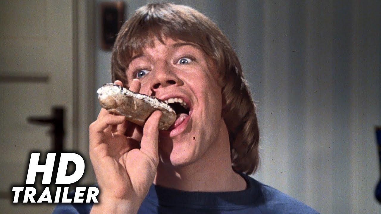 Confessions of a Driving Instructor Trailer