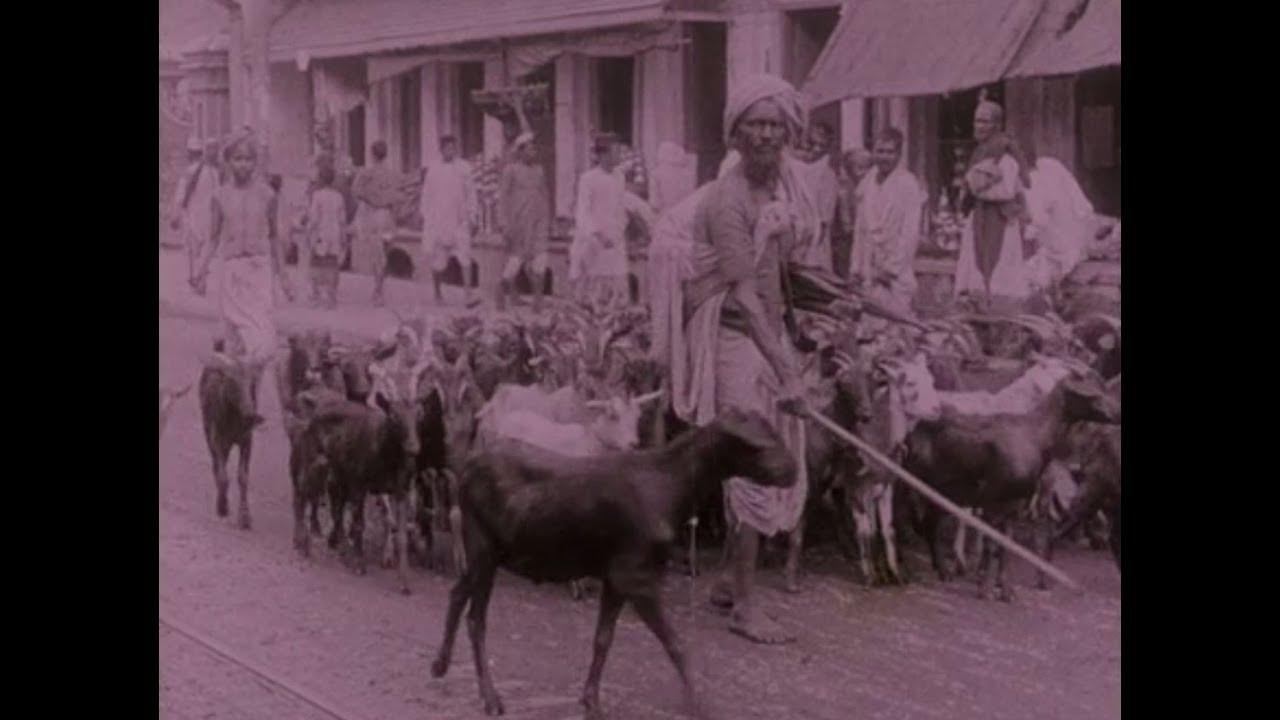 Picturesque India or, In and About Calcutta Trailer