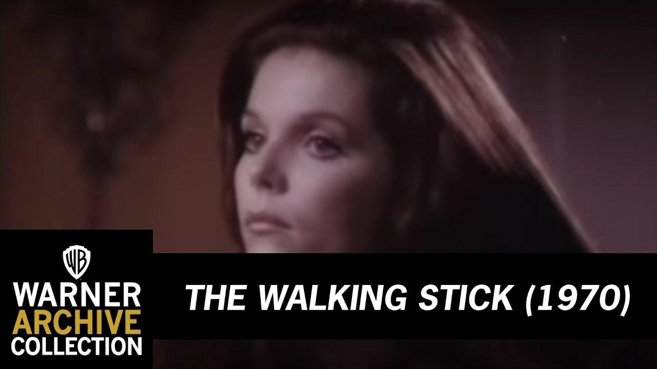 The Walking Stick Trailer