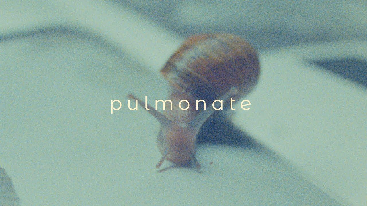 Pulmonate Trailer