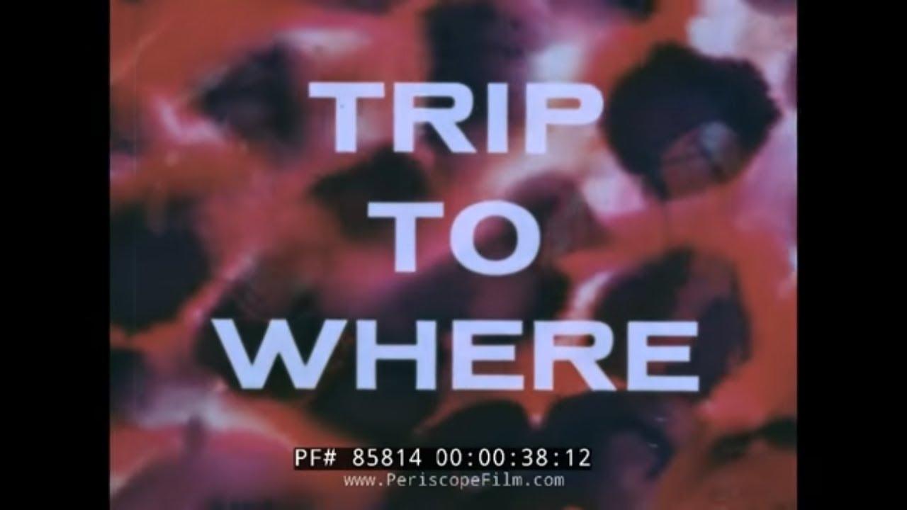 LSD: Trip to Where? Trailer