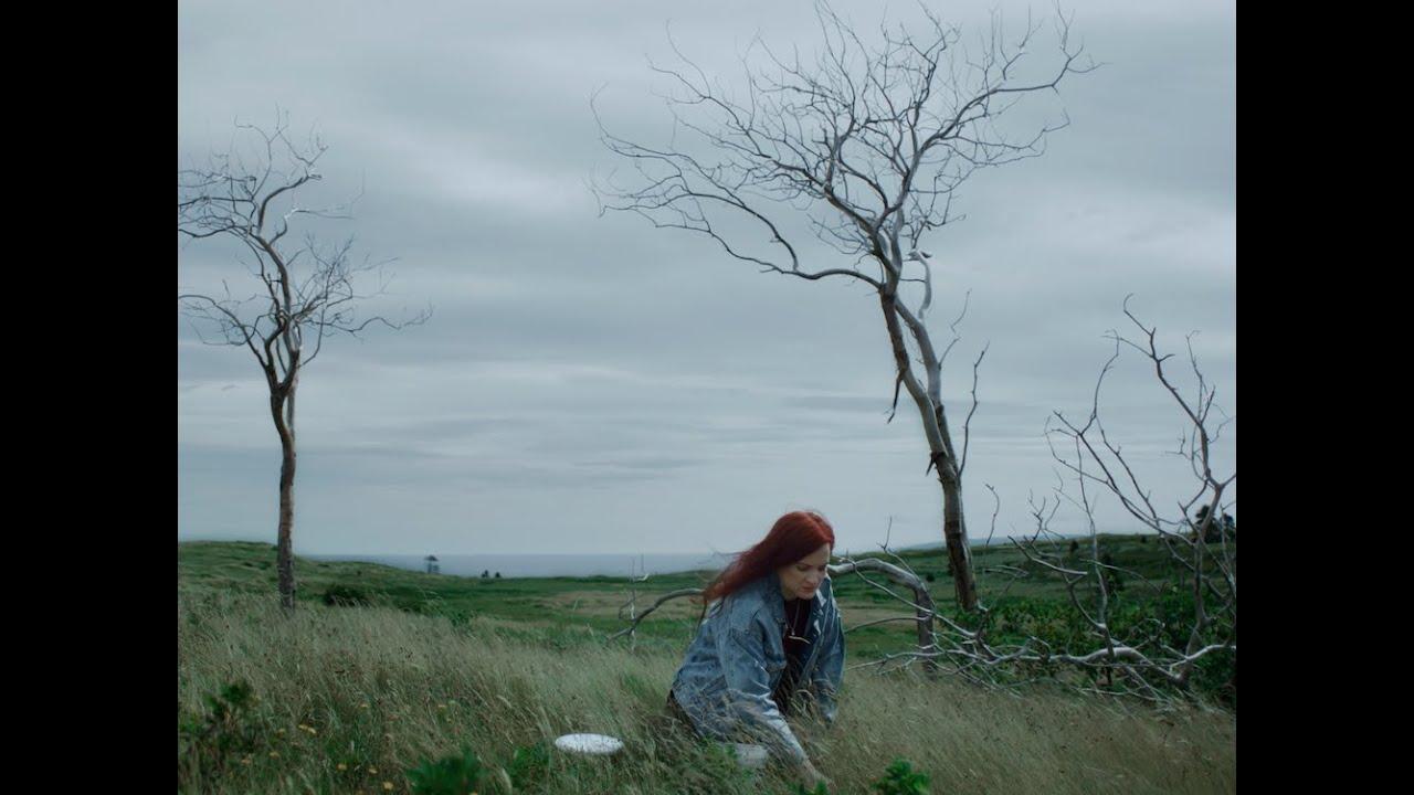 Blueberries for Iris Trailer