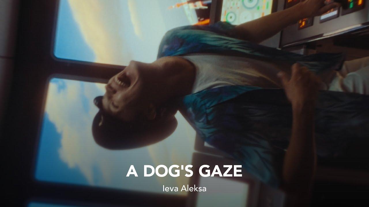 Dog's Gaze Trailer