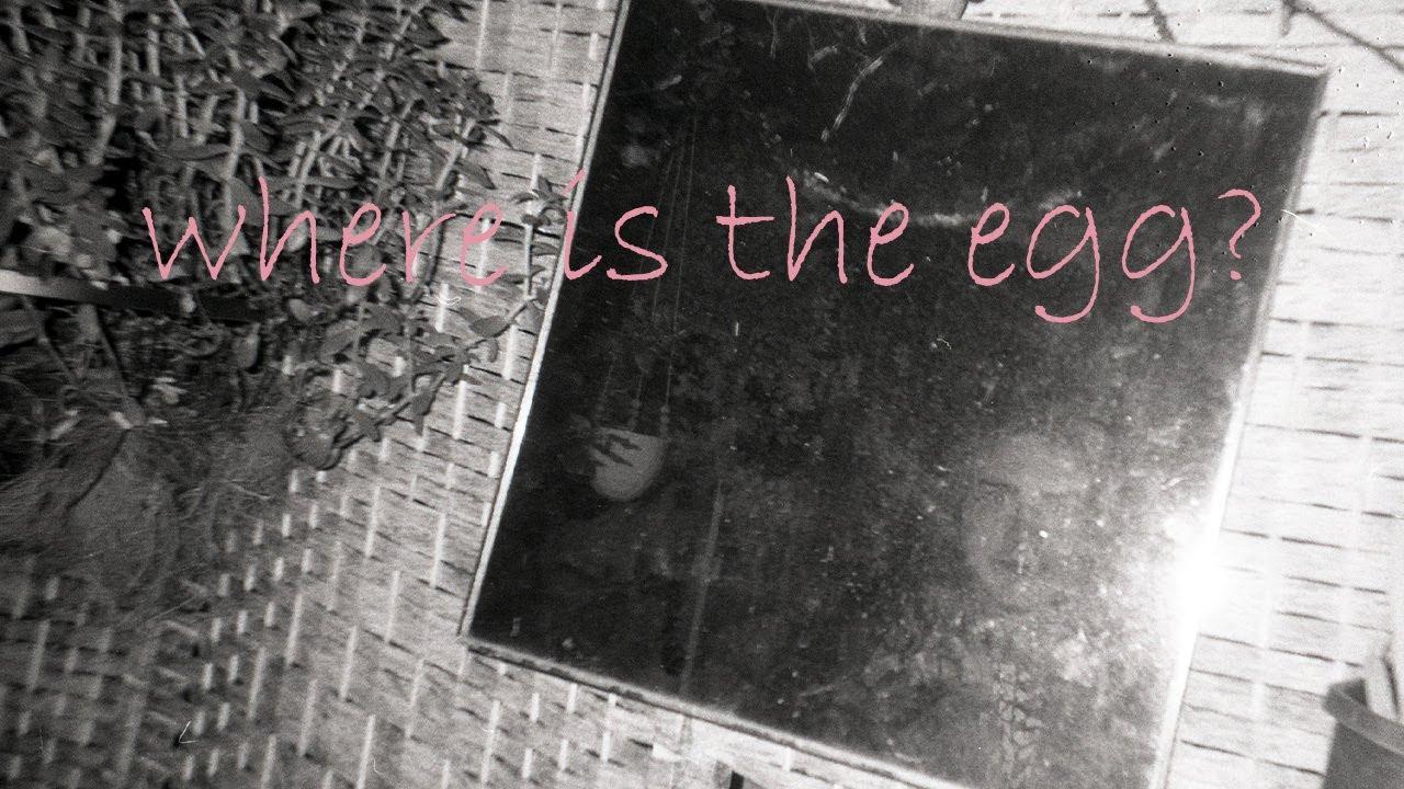 Where is the egg? Trailer