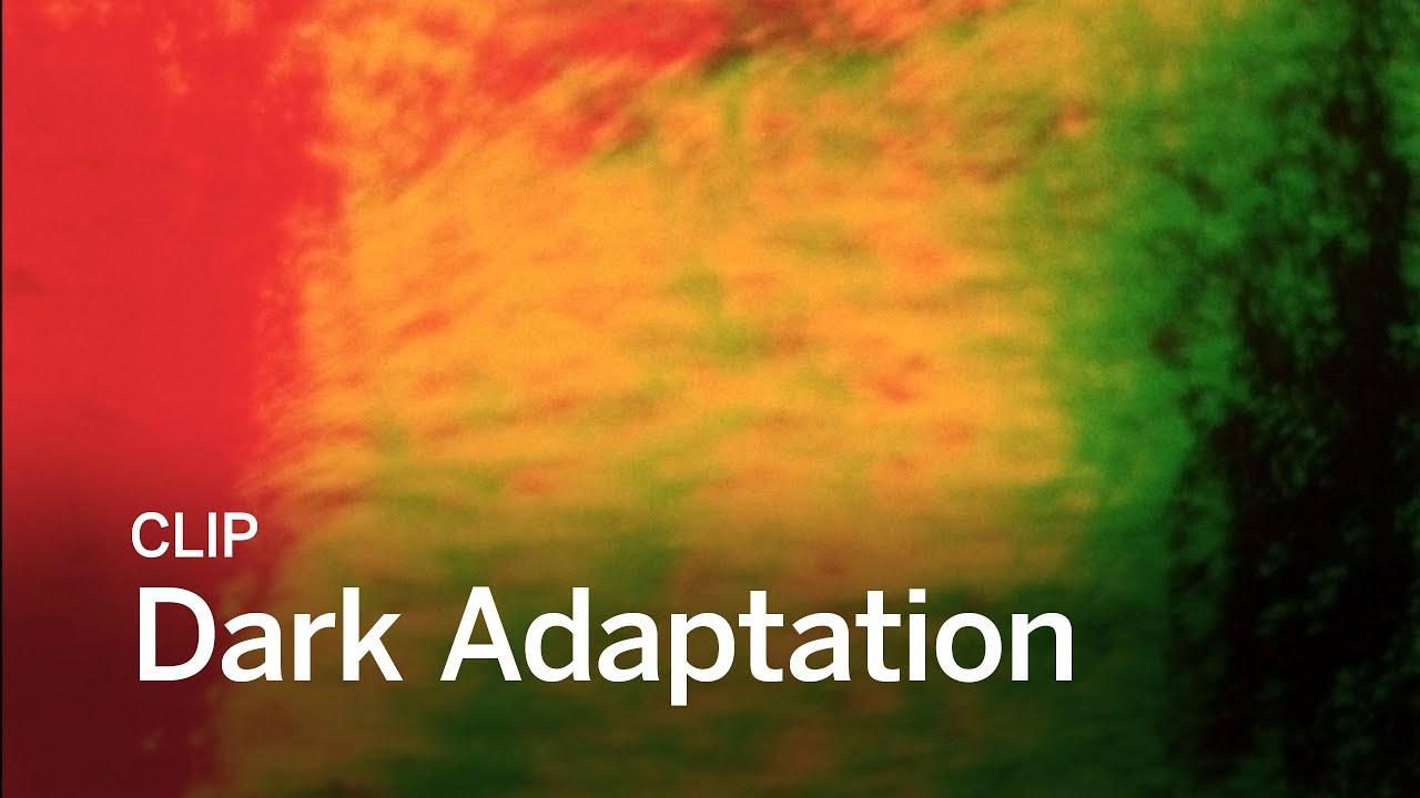 Dark Adaptation Trailer