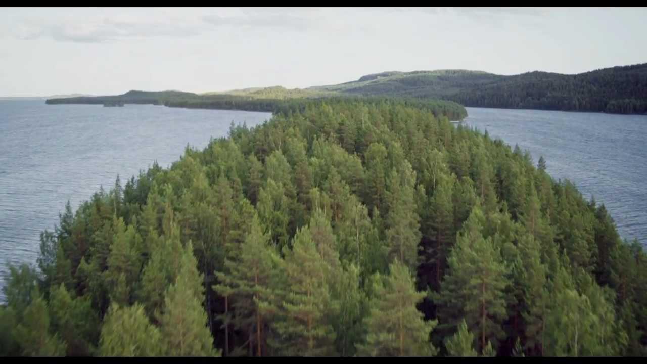 Tale of a Forest Trailer
