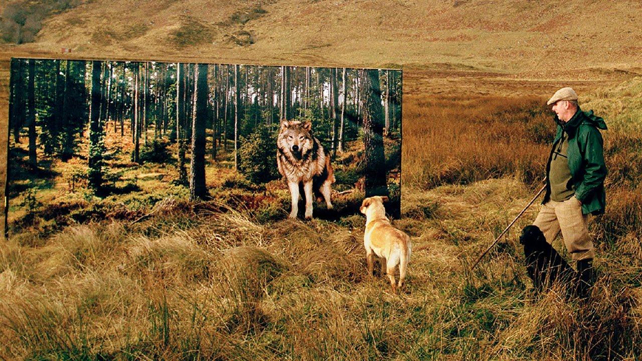 The Serengeti Rules Trailer