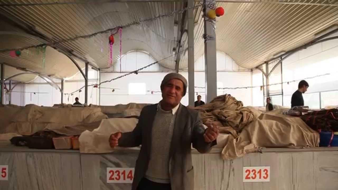 Neither live nor die in Tashkent Trailer