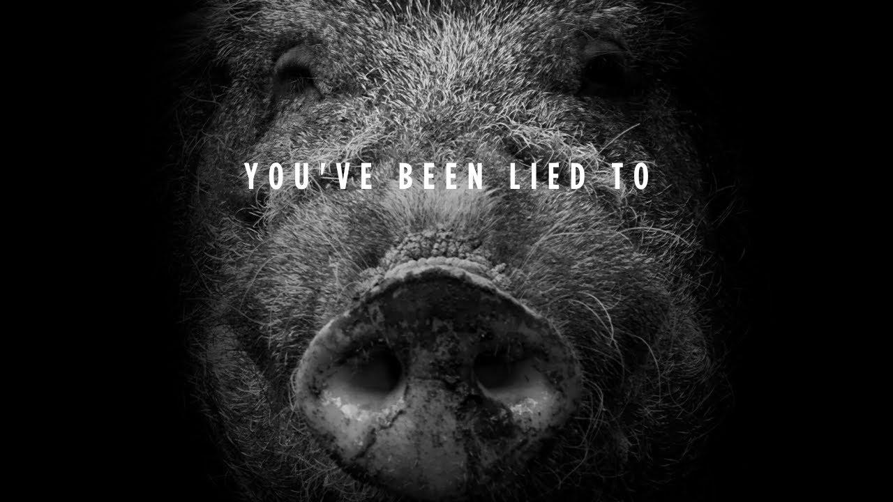 Hogwood: A Modern Horror Story Trailer