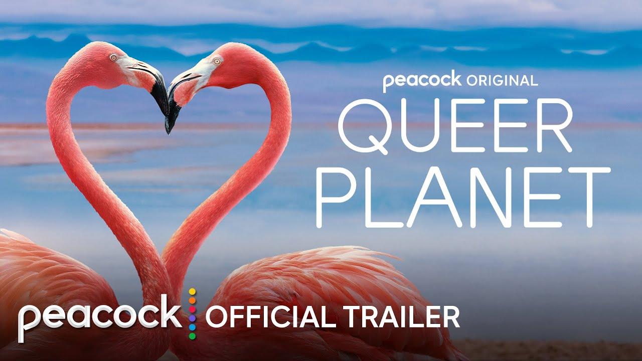 Queer Planet Trailer