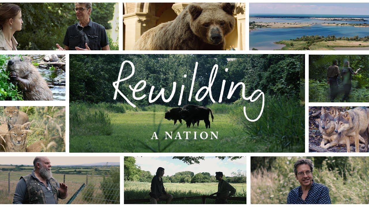 Rewilding a Nation Trailer