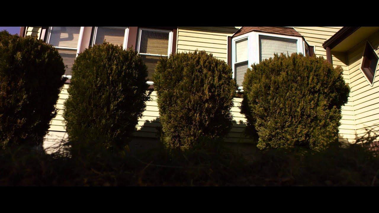 Mired Trailer