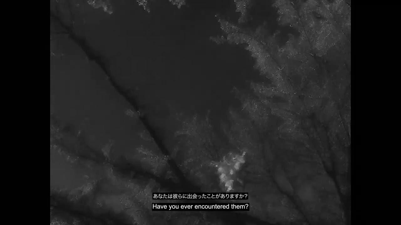 Shadow of the Sakura Trailer