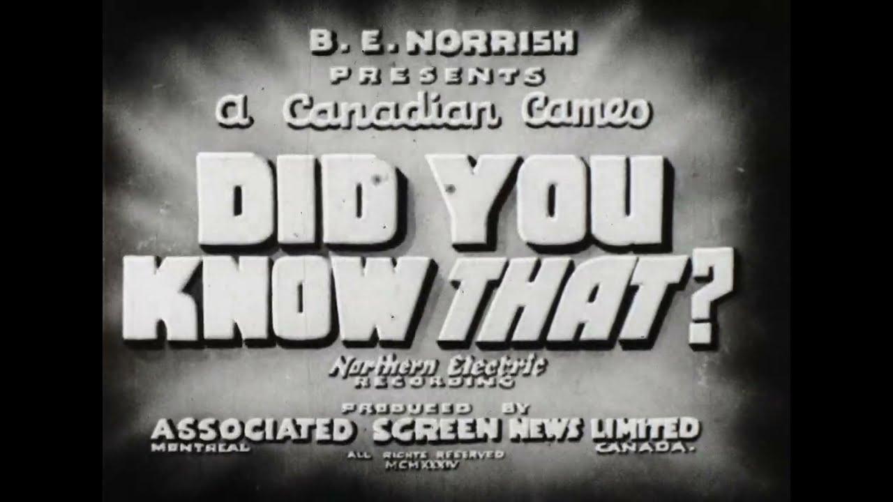 Did You Know That? Trailer