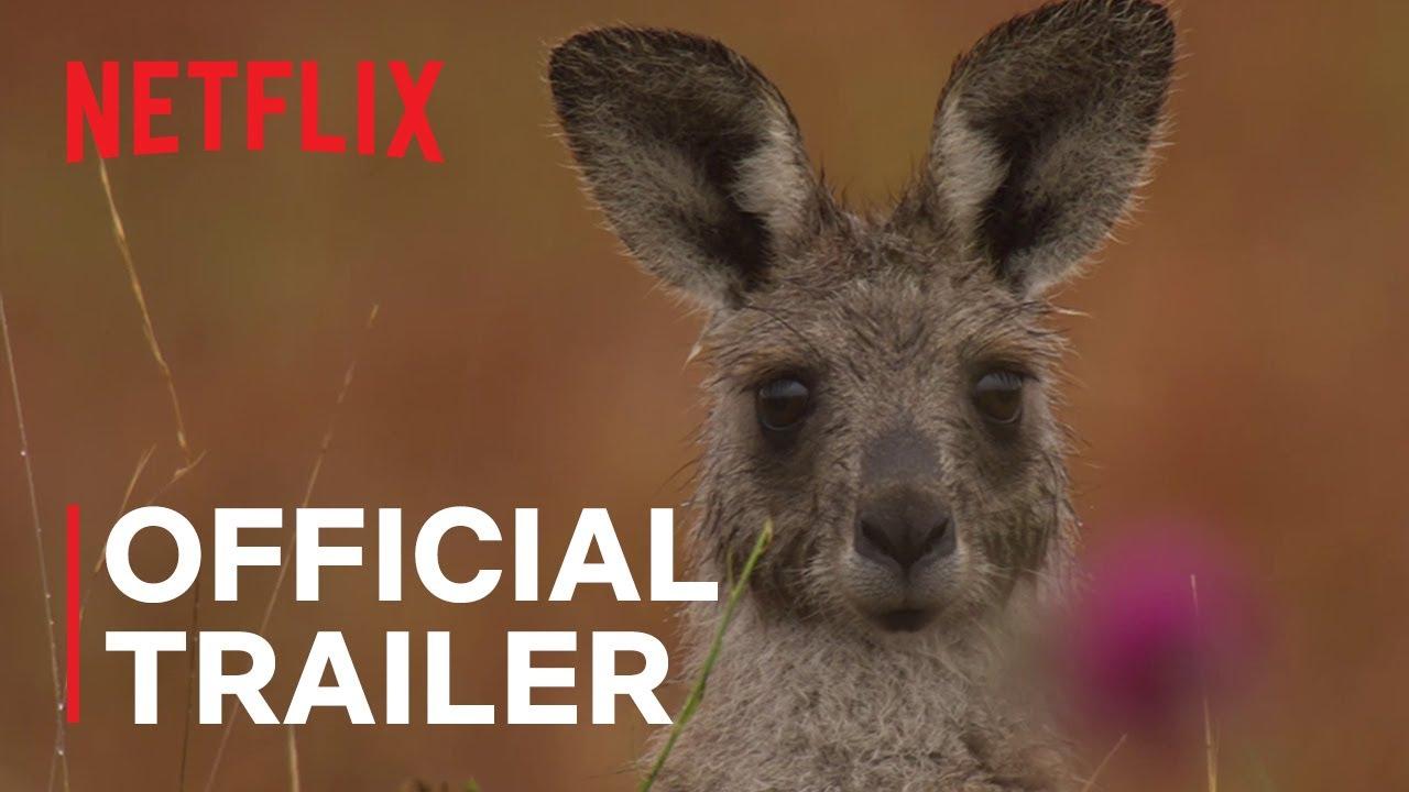 Kangaroo Valley Trailer