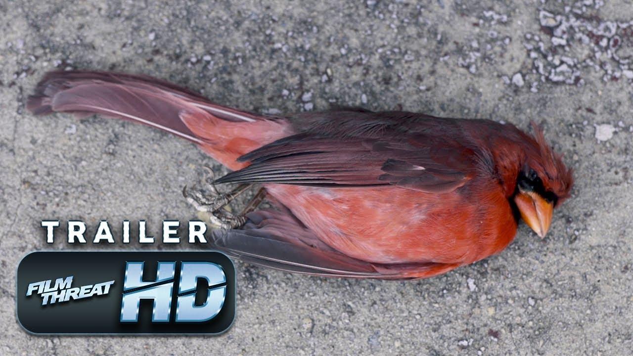 Cardinal Trailer
