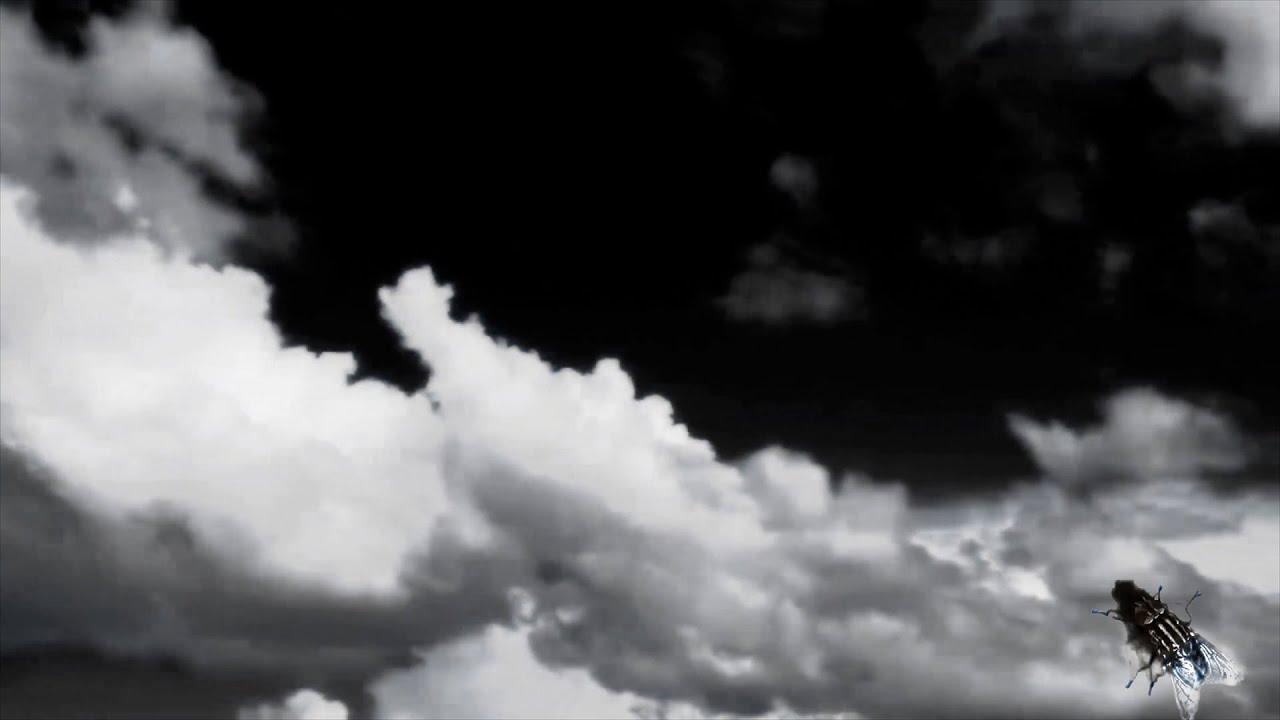 Flight Plan Trailer
