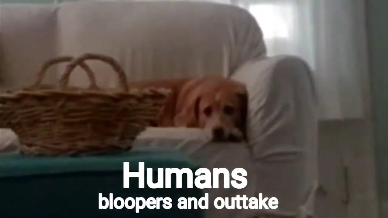 Humans: an Understanding of Their End Trailer