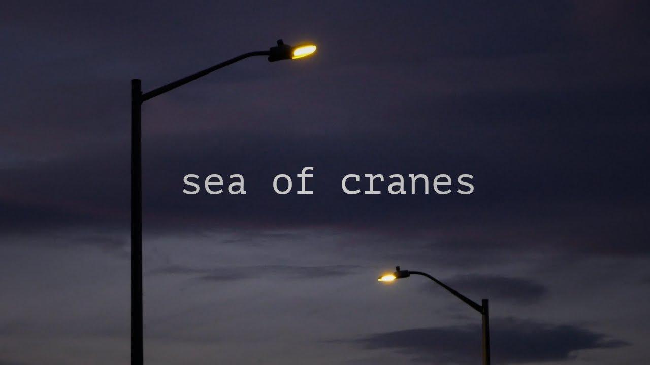 Sea of Cranes Trailer