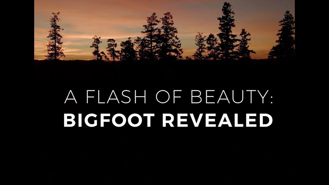 A Flash of Beauty: Bigfoot Revealed Trailer