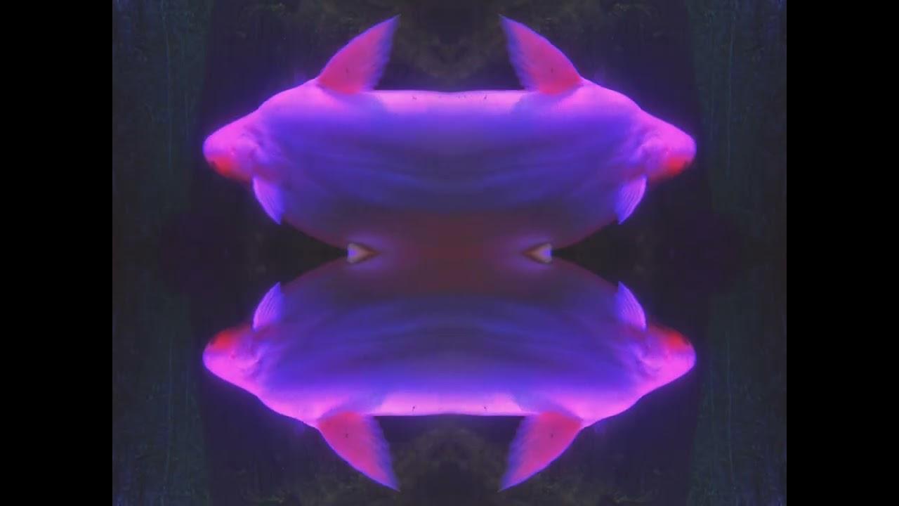 Silent Breaths Beneath Electric Glow Trailer