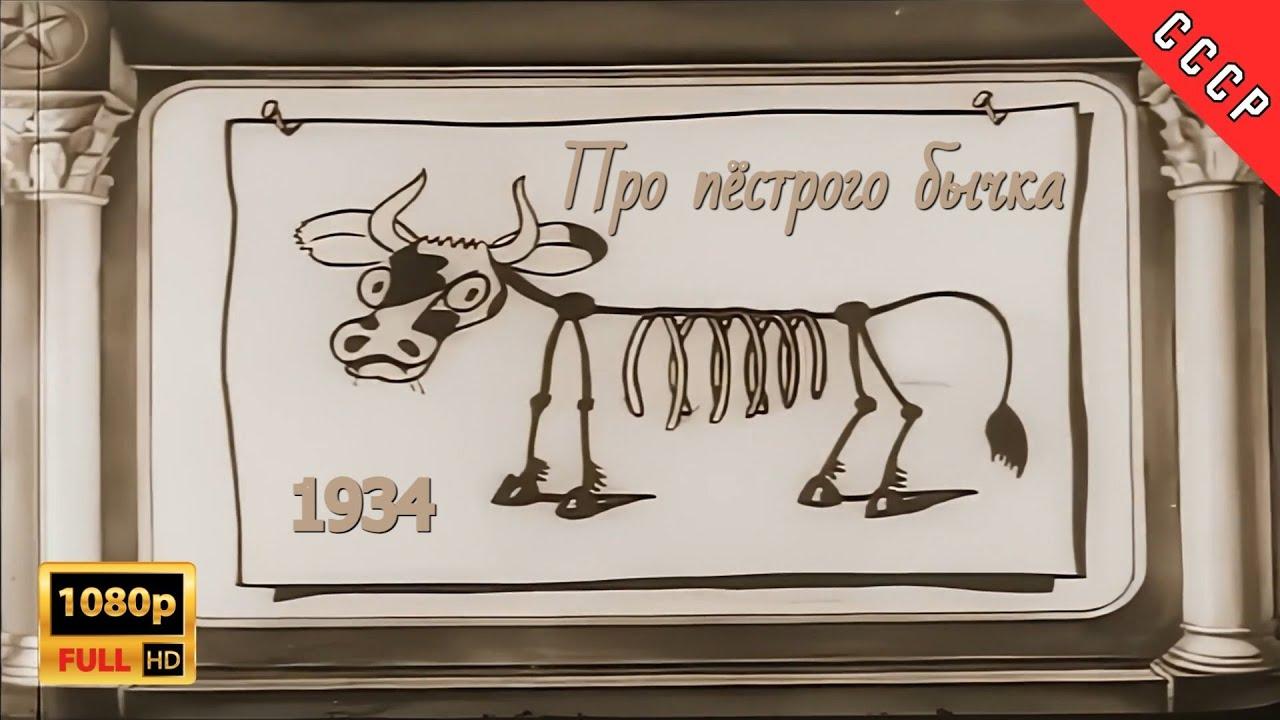 About a Motley Bull Trailer