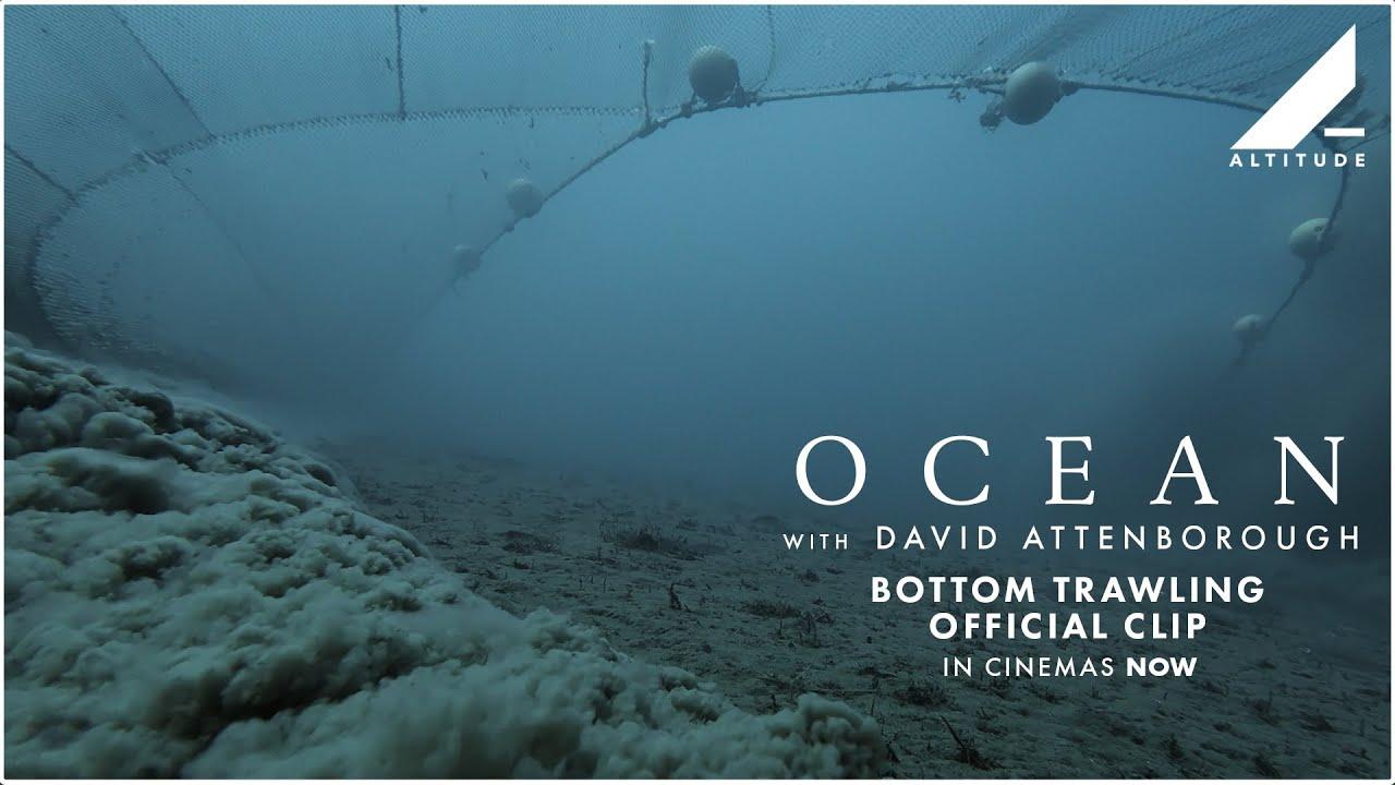Ocean with David Attenborough Trailer