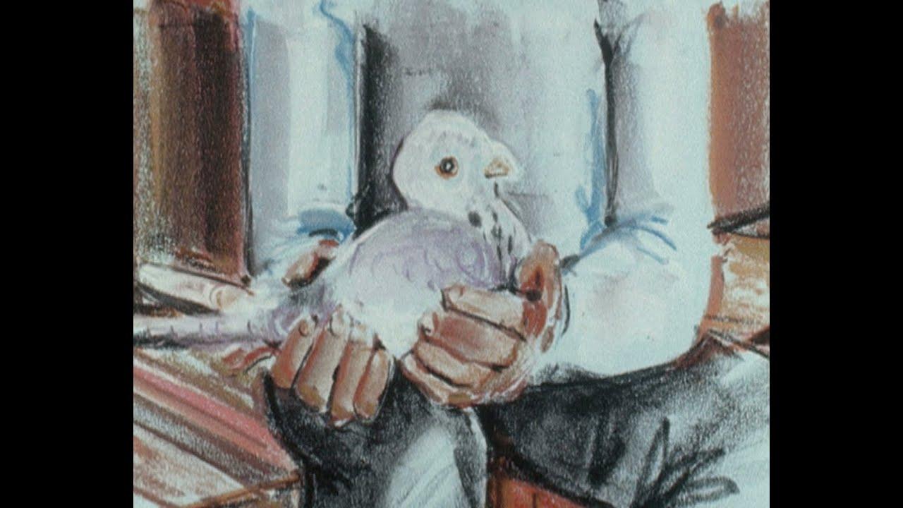 The Pigeon Cree Trailer