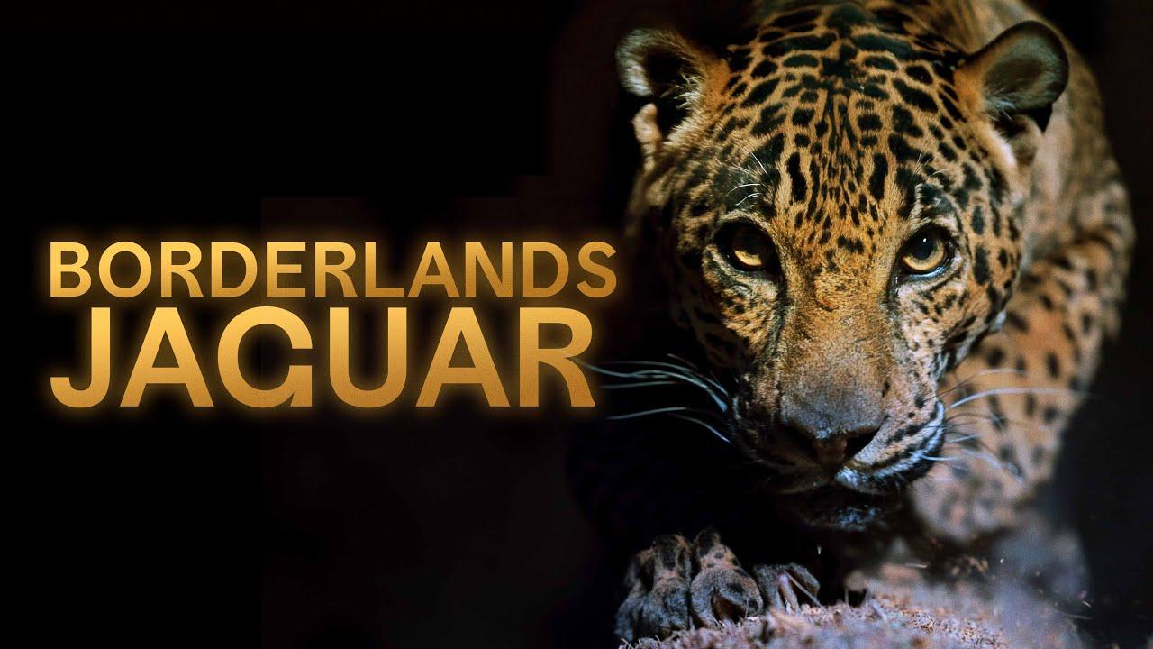 Borderlands Jaguar Trailer