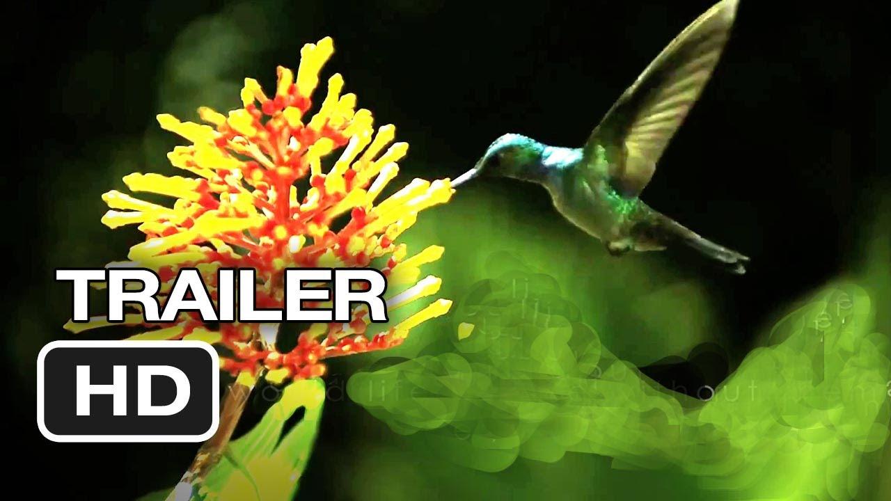 Wings of Life Trailer