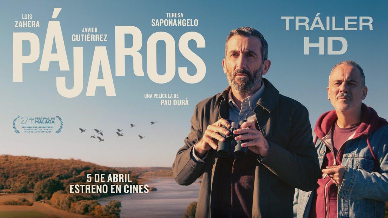Birds Flying East Trailer