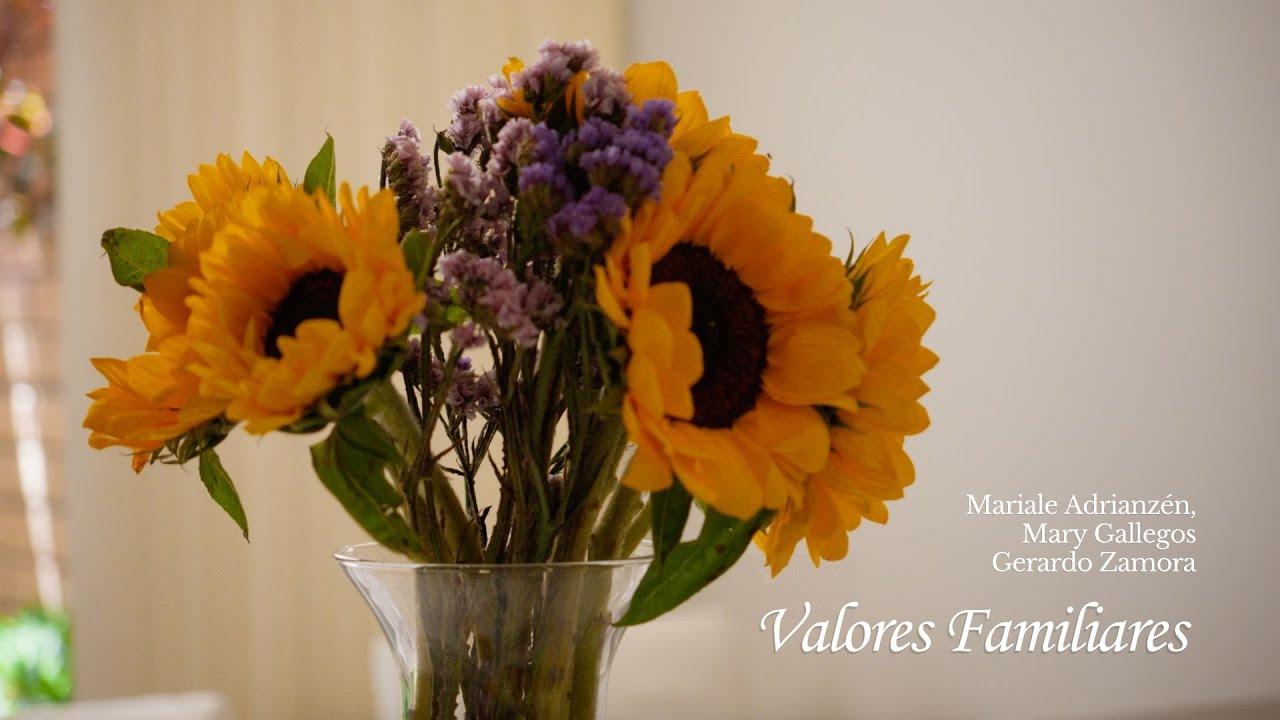 Valores Familiares Trailer