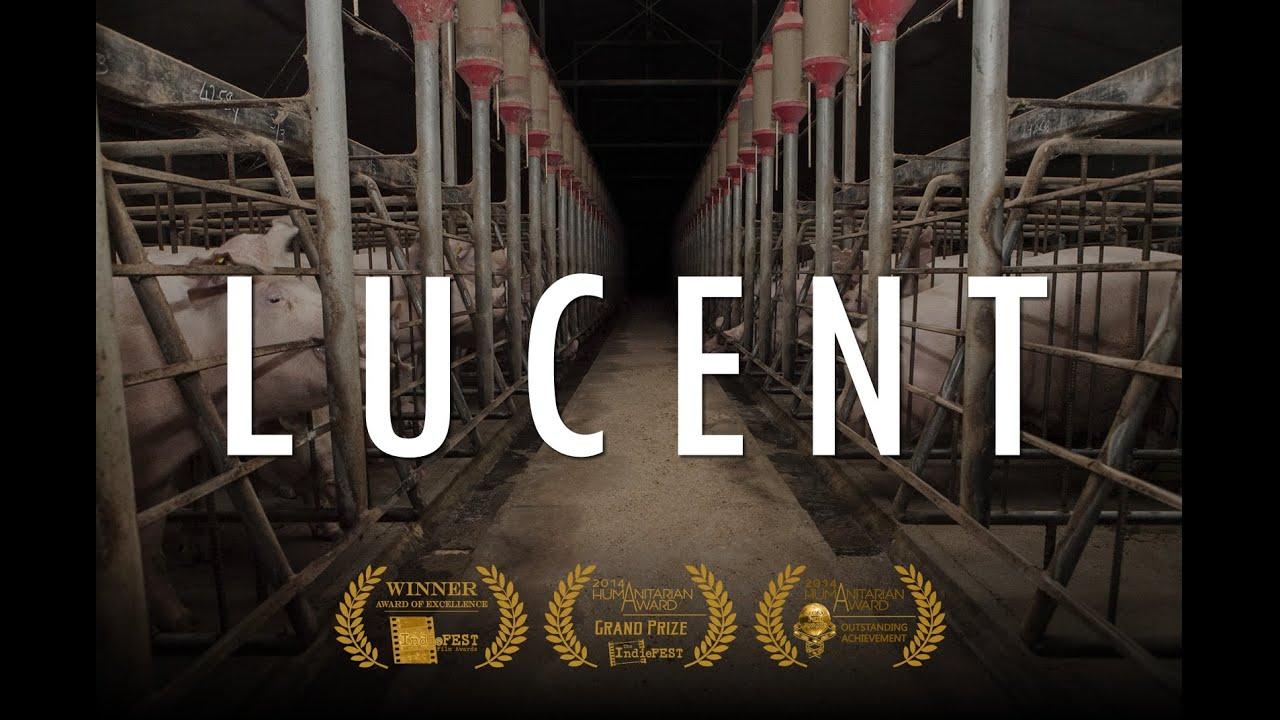 Lucent Trailer