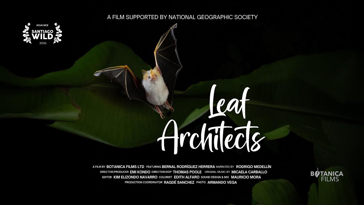 Leaf Architects Trailer
