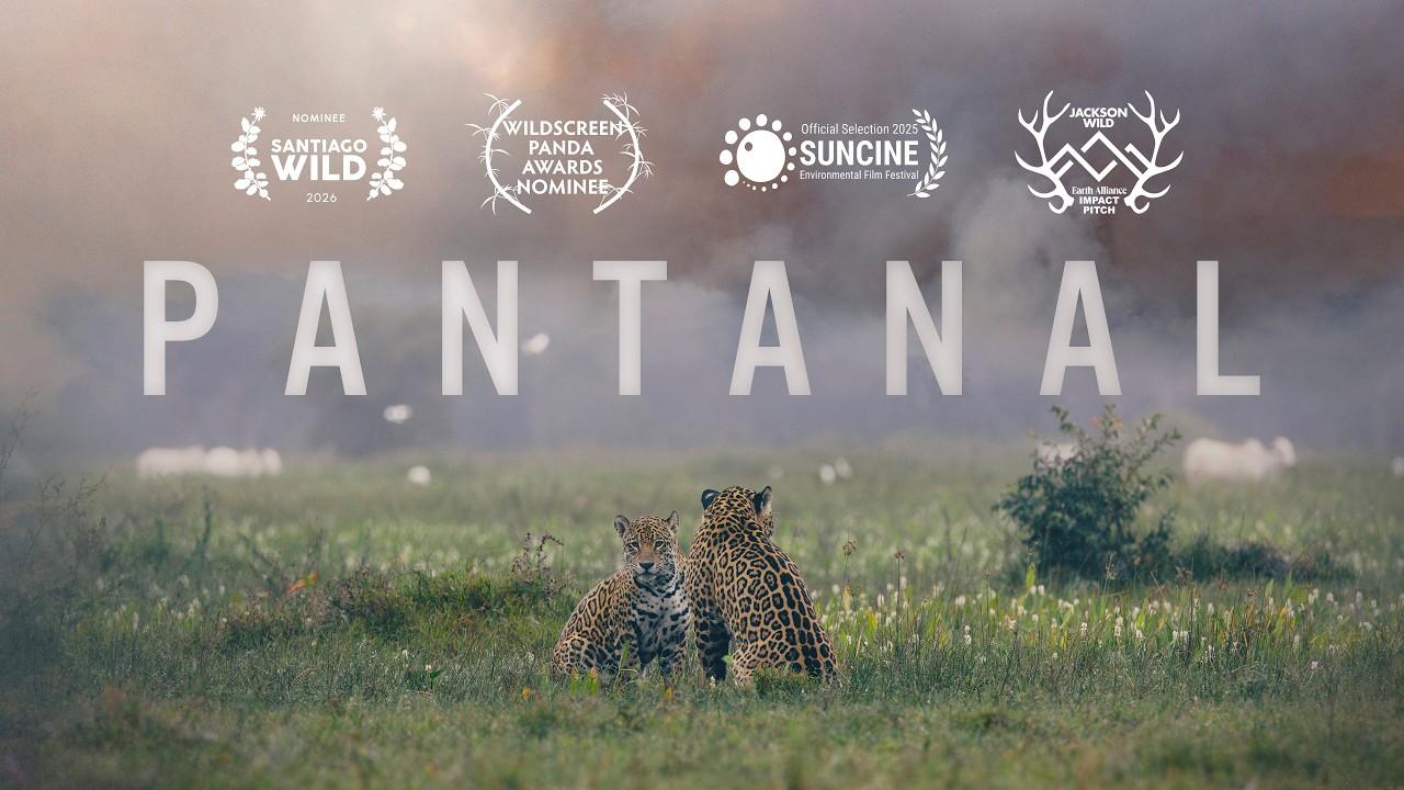 Pantanal Trailer