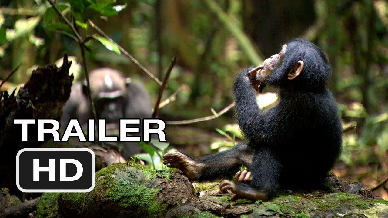 Chimpanzee Trailer