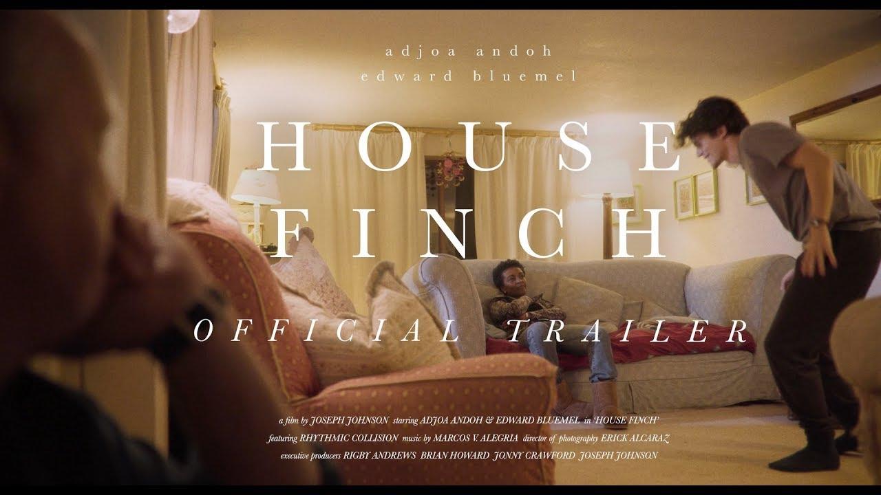 House Finch Trailer
