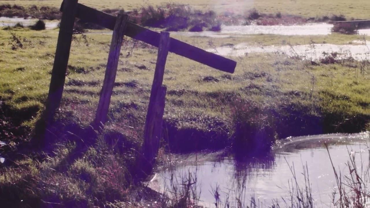 Alternate Spaces Trailer