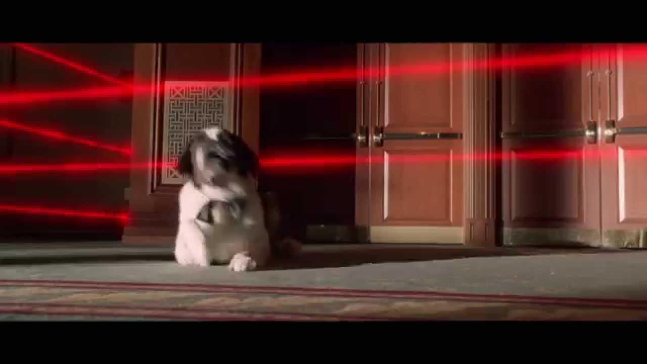 Beethoven's Treasure Tail Trailer