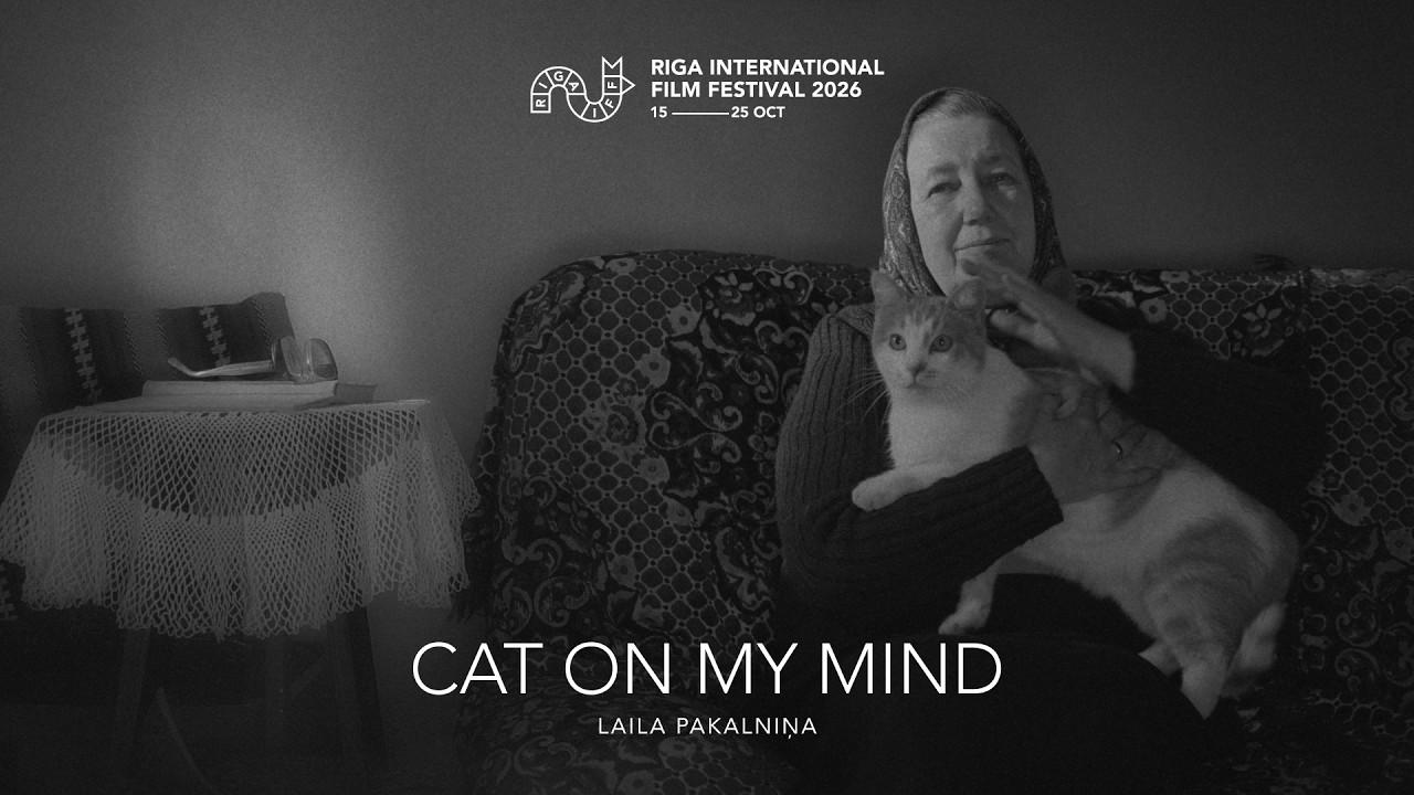 Cat on My Mind Trailer