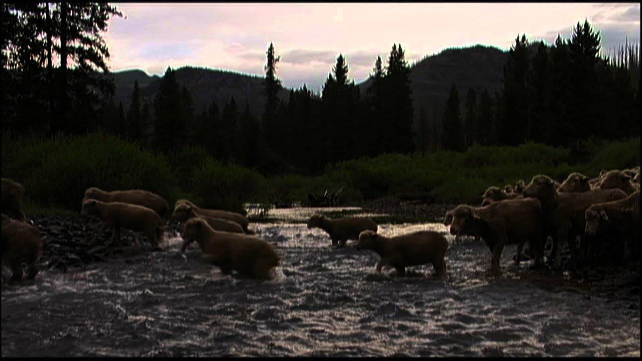 Hell Roaring Creek Trailer