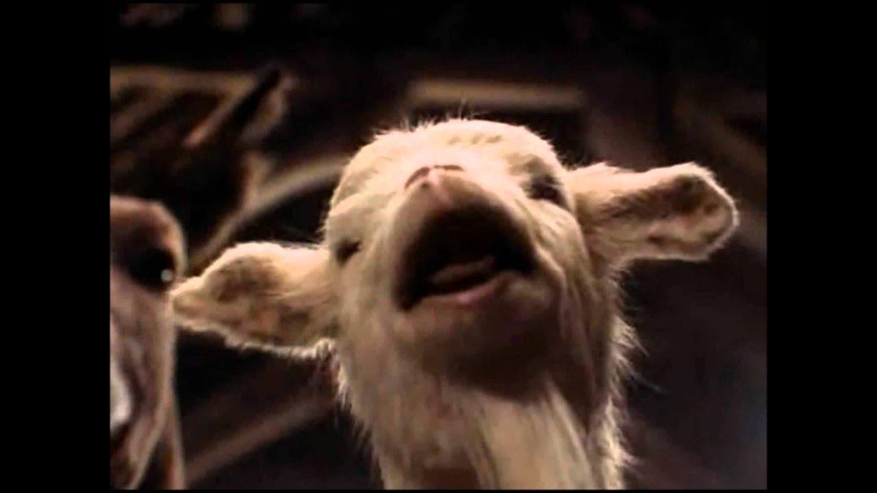 Animal Farm Trailer