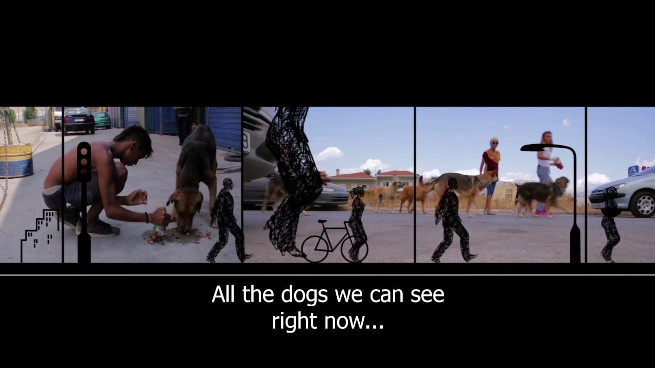 Greek Animal Rescue Trailer