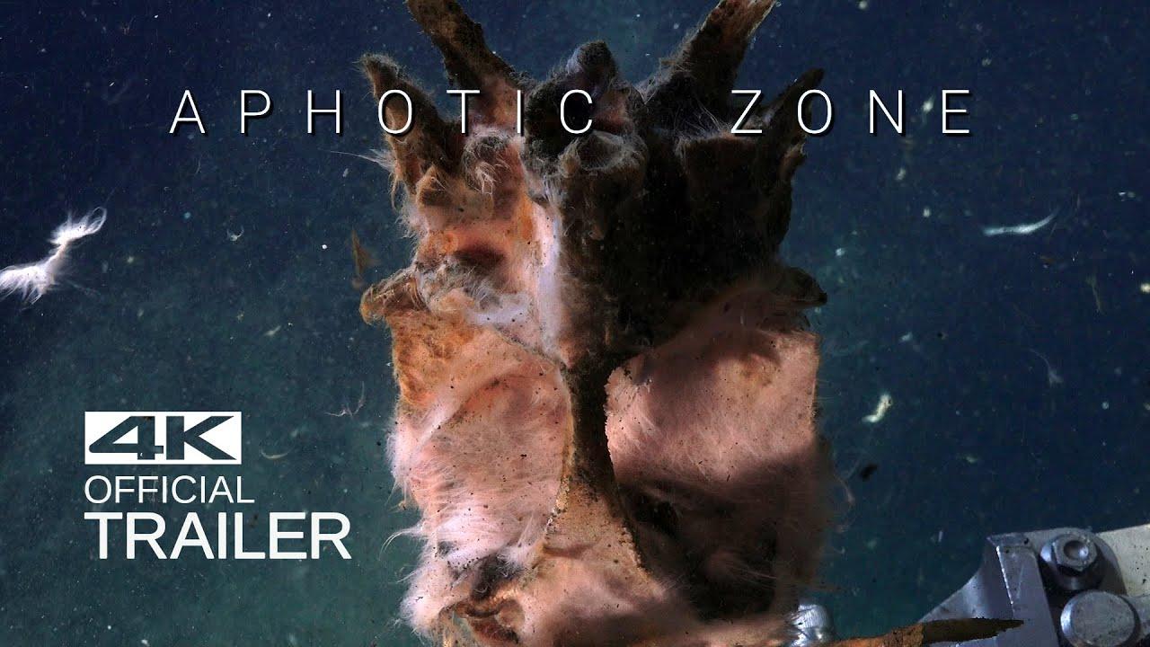 Aphotic Zone Trailer