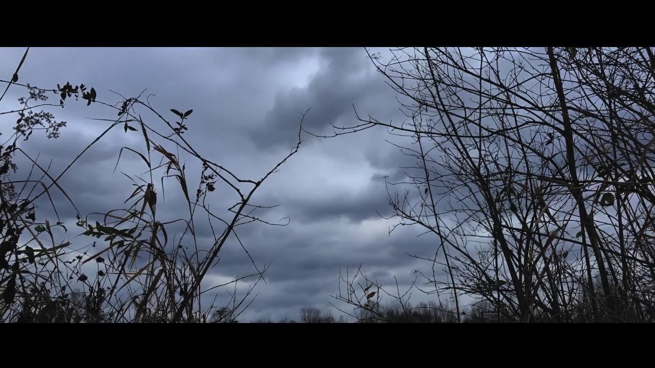 The Mothman of Point Pleasant Trailer
